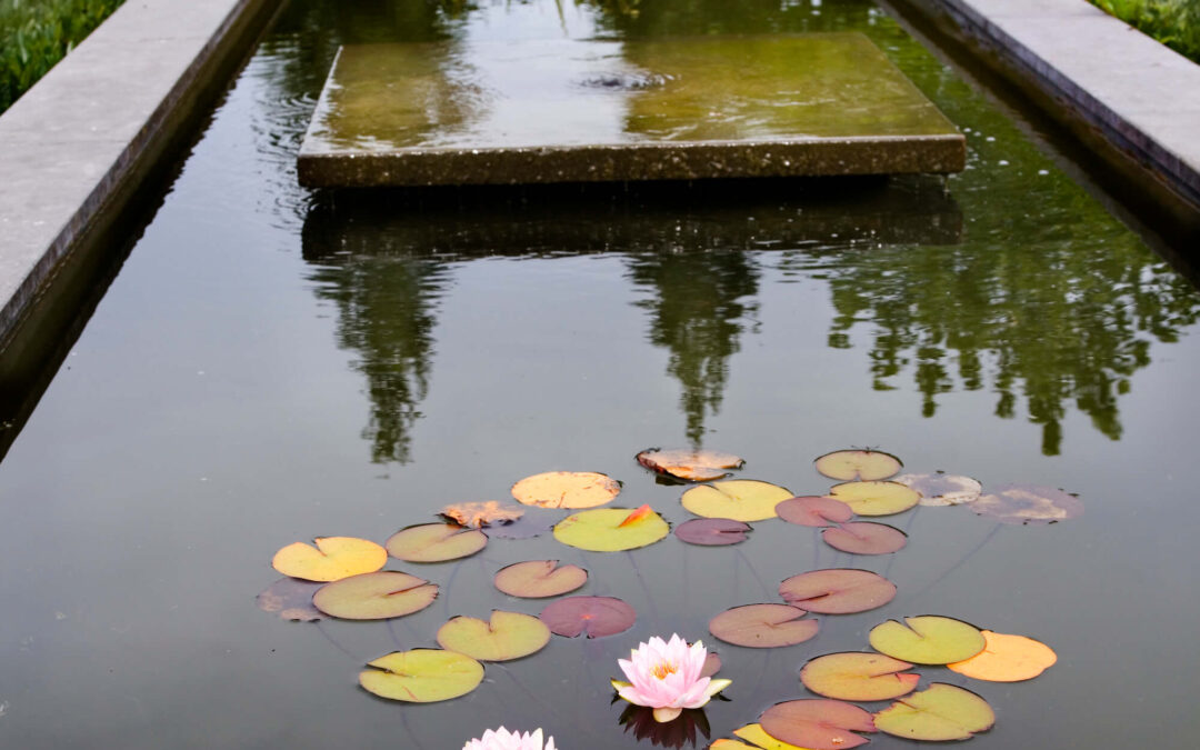 TUIN MET SIERVIJVER LINT