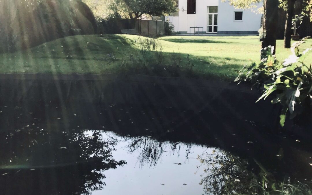 NATUURLIJKE POEL BOECHOUT