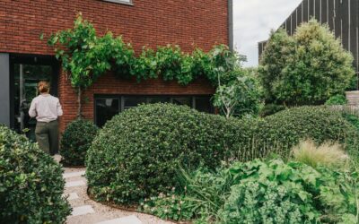 Oprit en voortuin Vremde