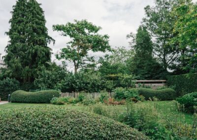 Achtertuin met groenblijvende massieven en onderhoudsvriendelijke beplanting
